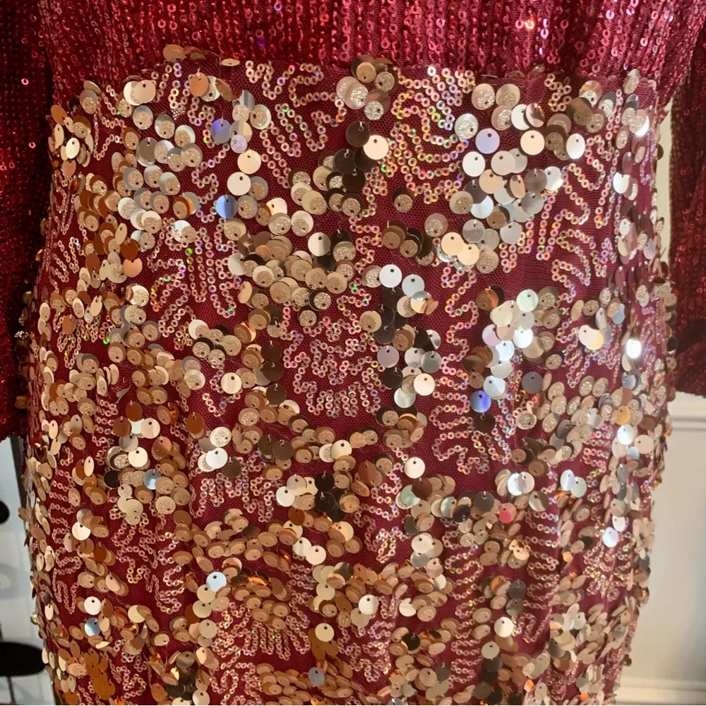 Bee Queen by Raseda Sequined Long Dress - Picture 7 of 11